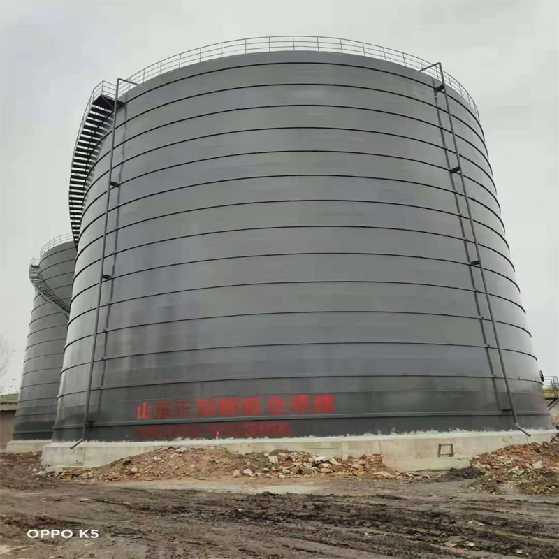 城步3万吨大型钢板库