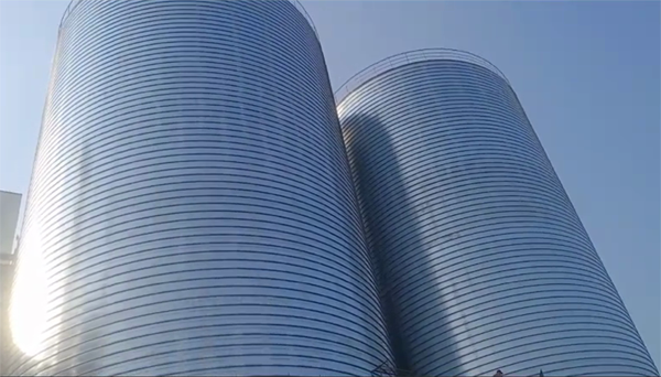 城步2座混凝土高架卷板仓